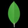 MongoDB icon